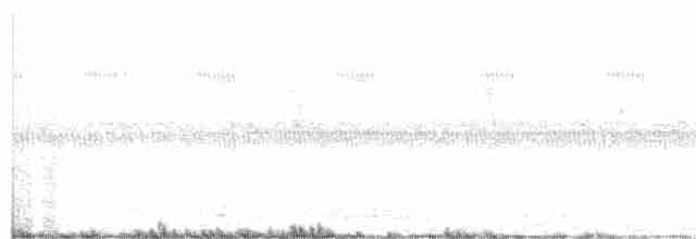 短耳鴞 - ML511682941