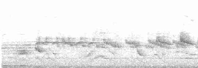 Sahelsmaragdspint - ML511719281