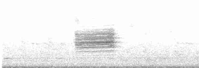 pěnicovec krátkoocasý - ML511722351