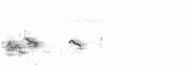Little Ringed Plover - ML511748091