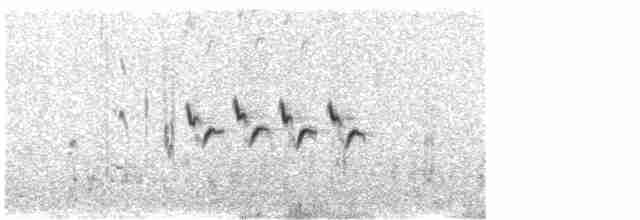 Grass Wren (Austral) - ML511757931