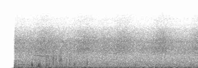 Красноногий скрытохвост - ML511885391