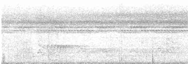 White-chested Babbler - ML511914711