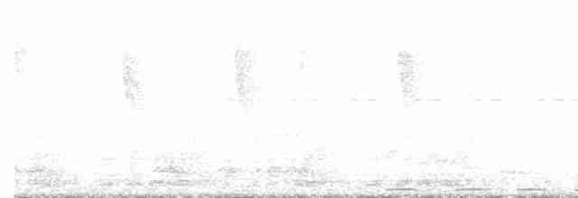 White-mantled Barbet - ML511924321