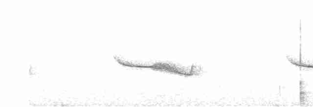 Band-winged Nightjar (Austral) - ML511935381