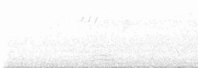 Rufous Whistler - ML511982181