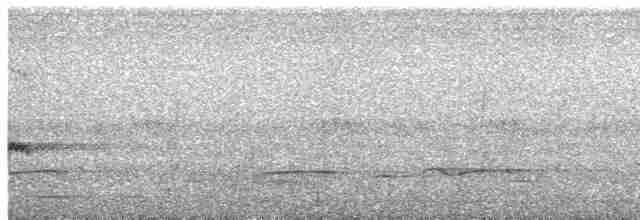 Кустарниковая кукушка - ML511997571