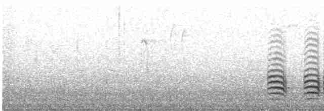 Weißbrustkleiber (carolinensis) - ML512071551