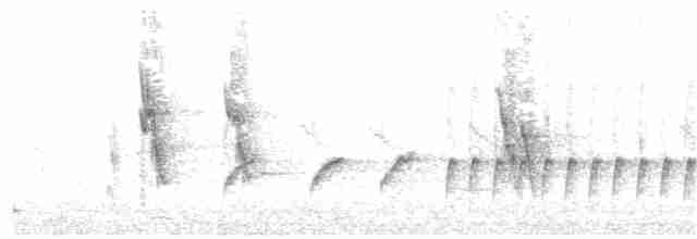 Кропив’янка чорносмуга - ML51212711