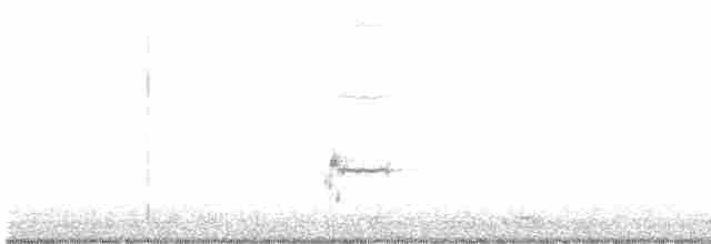 Loggerhead Shrike - ML512195811
