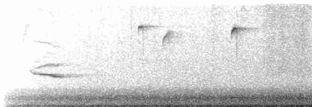 Дрізд-короткодзьоб плямистоволий - ML512207891