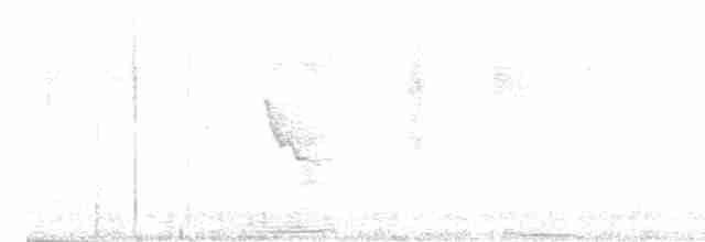 Trogon de Baird - ML512208271