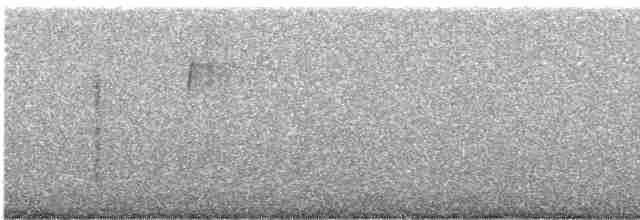 tyranovec vrbový - ML512220081