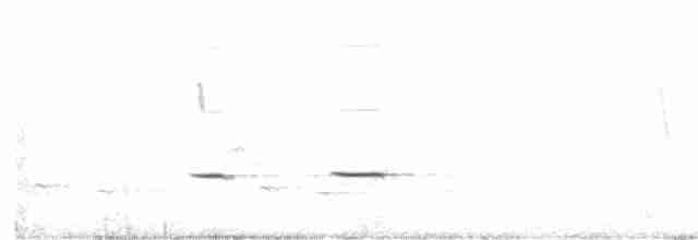 Striped Cuckoo - ML512278301