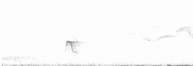 White-crested Elaenia - ML512291791