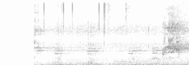Slender-billed Parakeet - ML512324091