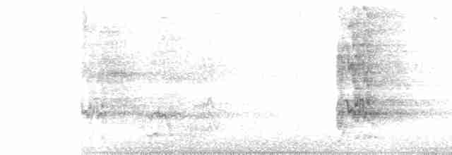 Slender-billed Parakeet - ML512324631