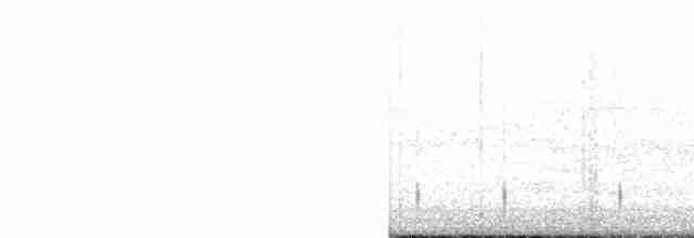 Psittaciformes, unbestimmt (parakeet sp.) - ML512352781