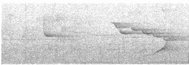 holub hnědohlavý - ML512372891