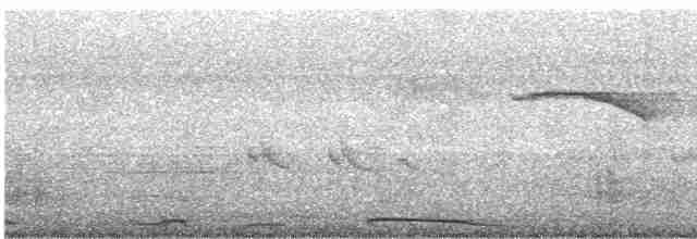 hrdlička kropenatá - ML512428081