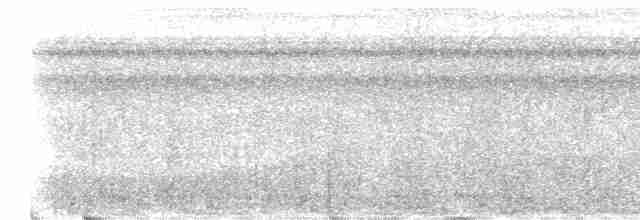 Weißkehl-Ameisenvogel - ML512430391