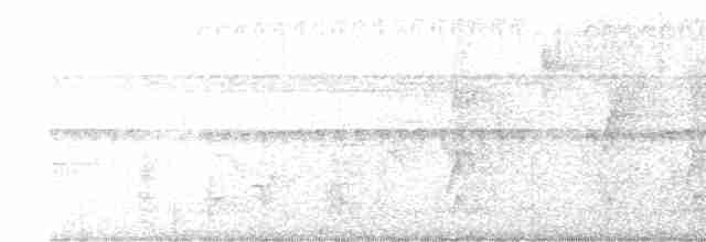 Большеклювый дронго - ML512441161