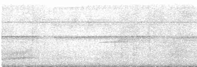 Cuervo Picudo (grupo macrorhynchos) - ML512441171