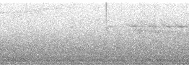 Красногрудый дятел-сокоед - ML51245