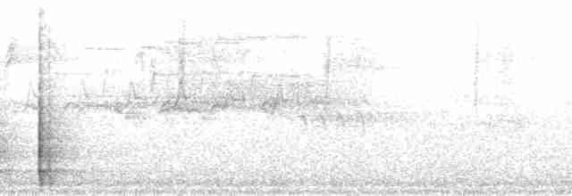 Красногрудый дятел-сокоед - ML51246