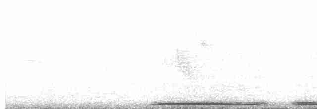Küpeli Kumru - ML512471441