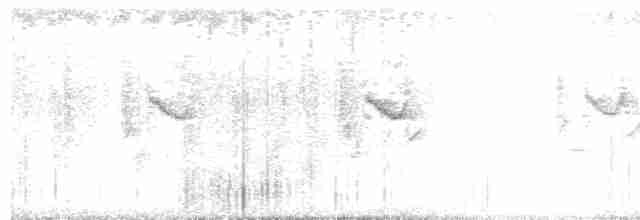 Ornate Sunbird - ML512485131
