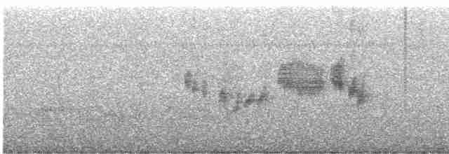 Gray-throated Babbler - ML512503211