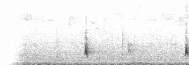 Дрізд-короткодзьоб плямистоволий - ML512515951