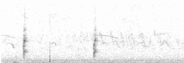 Spotless Crake - ML512516271
