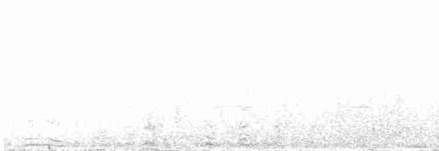 Karaca Sinklot (antarcticus) - ML512548931
