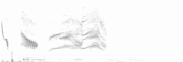 Long-tailed Meadowlark - ML512555471