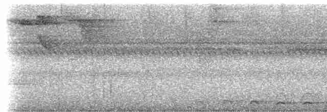 Lattice-tailed Trogon - ML51259881