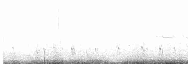 potápka stříbřitá (ssp. occipitalis) - ML512612401