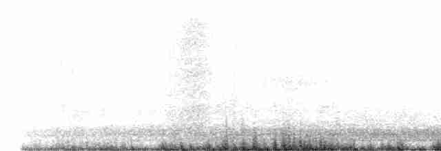 Trumpeter Swan - ML512613121