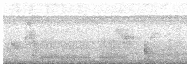 Gray-capped Cuckoo - ML512632301