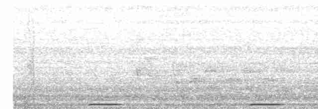 holub pestrokřídlý - ML512679491