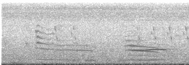 Pheasant-tailed Jacana - ML512691401