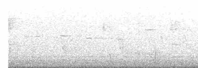 Fan-tailed Cuckoo - ML512713111