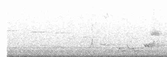 Fan-tailed Cuckoo - ML512713121