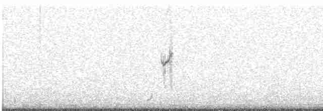 Curve-billed Tinamou - ML512746941