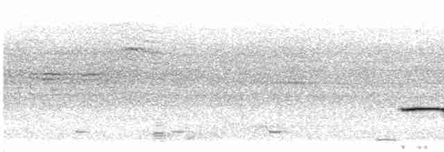 Striped Kingfisher - ML512756381