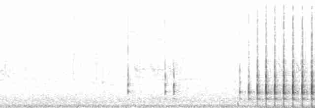 strakapoud osikový - ML51276