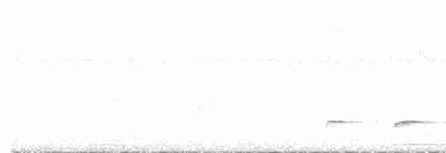 Crested Bobwhite - ML512838981