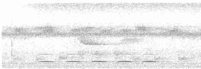 chřástalík běloskvrnný - ML512864031
