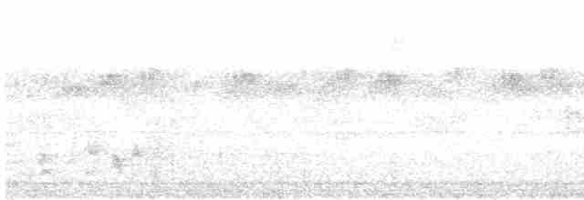 rubinbuskvarsler (viridis) - ML512864131
